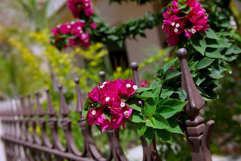 Michelle 8 Villa Protaras Ngoại thất bức ảnh